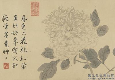 图片[2]-Flowers and Plants-China Archive